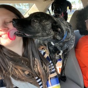 Meet your Posher, Kia